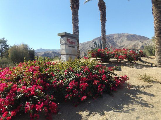 Westfield Palm Desert